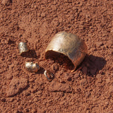 Origin Ring