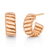 Wave Hoop Hoop Earrings Roseark Deux Pair  