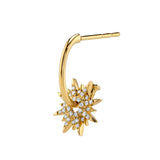 Diamond Star Cluster Hoop Hoop Earrings Roseark Deux Single  