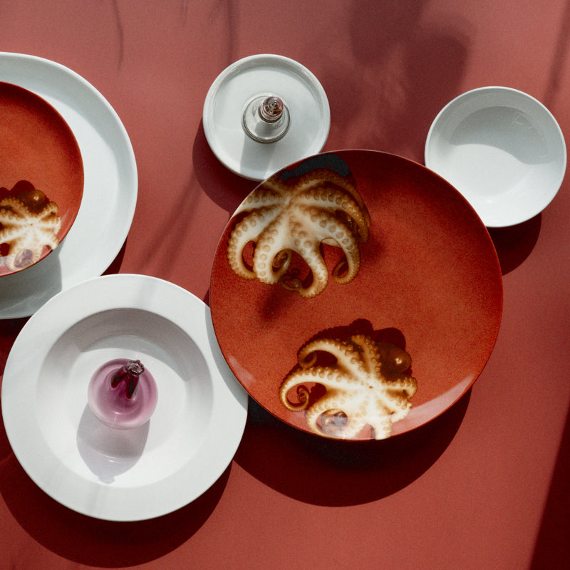 Polypous Dinner Plate Platter Shayna Fontana