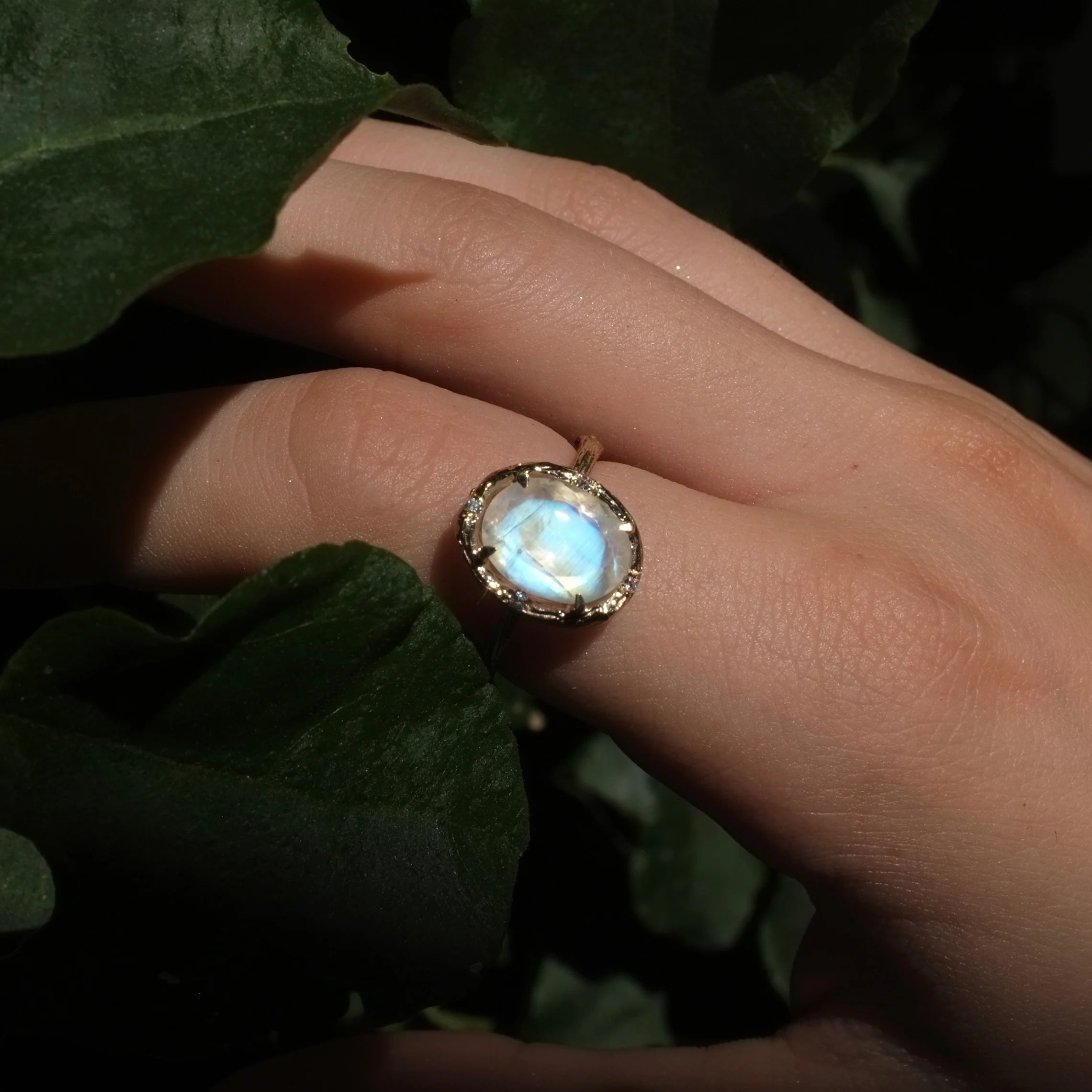 Moonstone Glow Ring Cocktail Ring Elisabeth Bell Jewelry