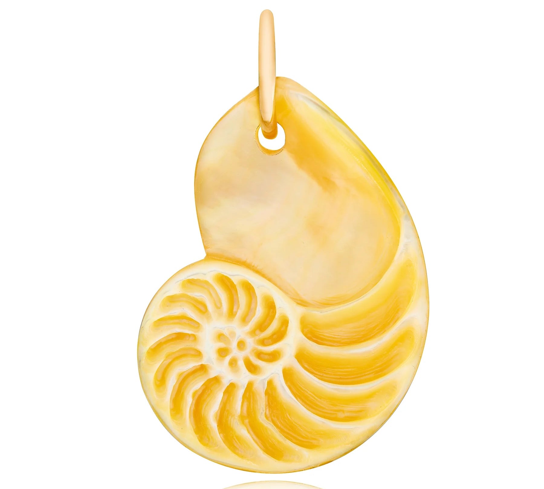 Golden Nautilus Charm Pendant Maura Green