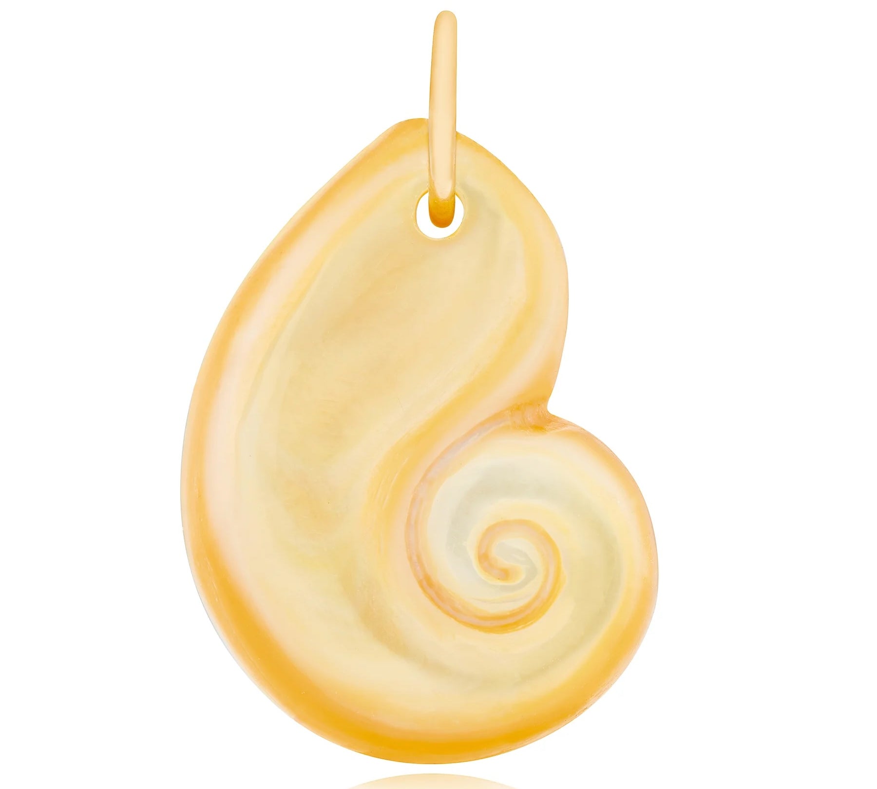 Golden Nautilus Charm Pendant Maura Green