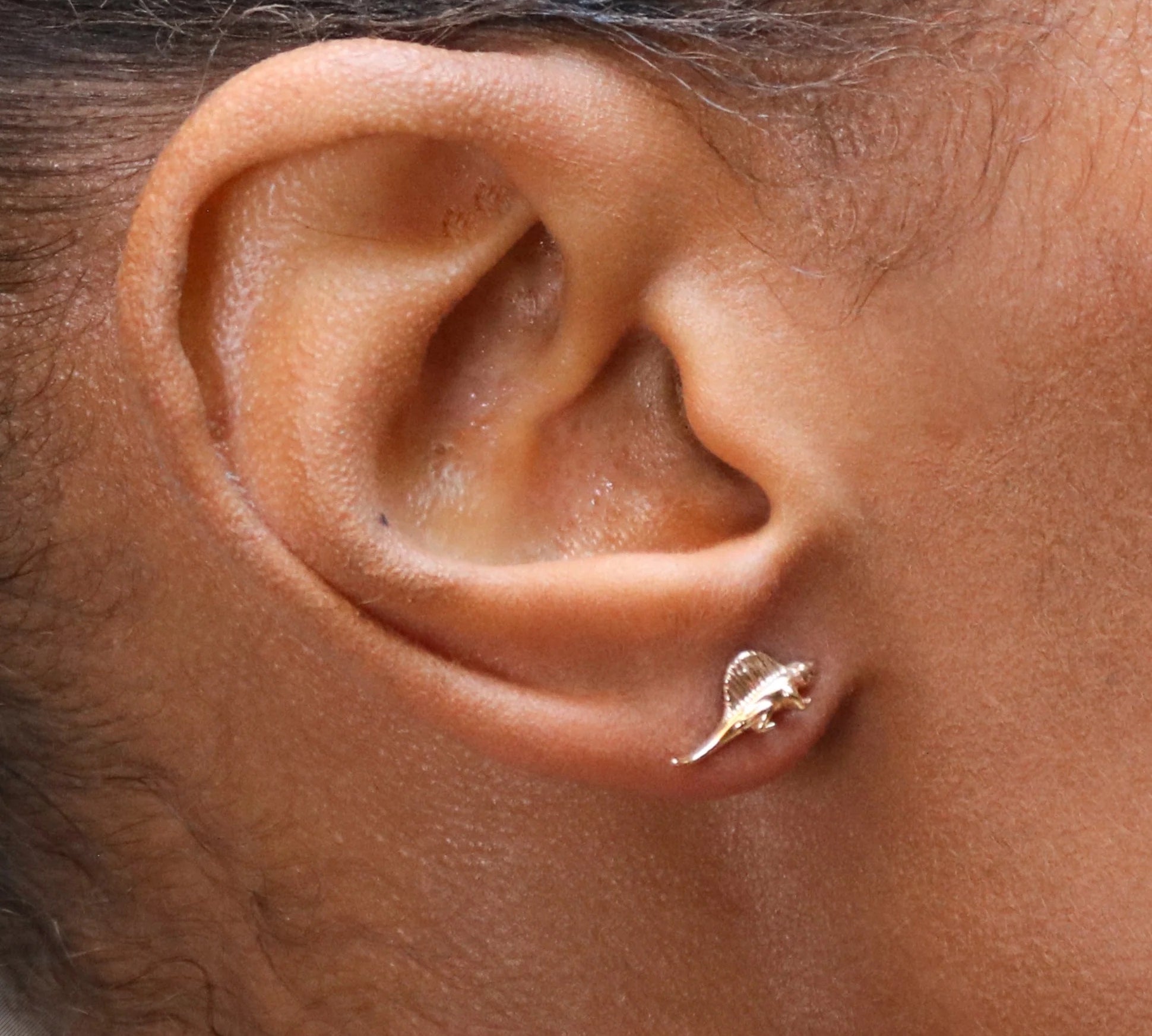 Tacosaurus Studs Stud Earrings Roseark Deux