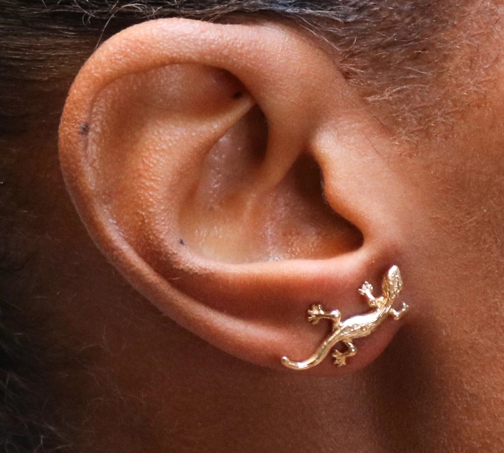 Mini Lizard Earring Stud Earrings Roseark Deux