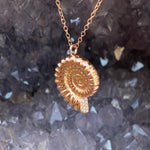 Ammonite Necklace Pendant Necklace Elisabeth Bell Jewelry