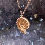 Ammonite Necklace Pendant Necklace Elisabeth Bell Jewelry