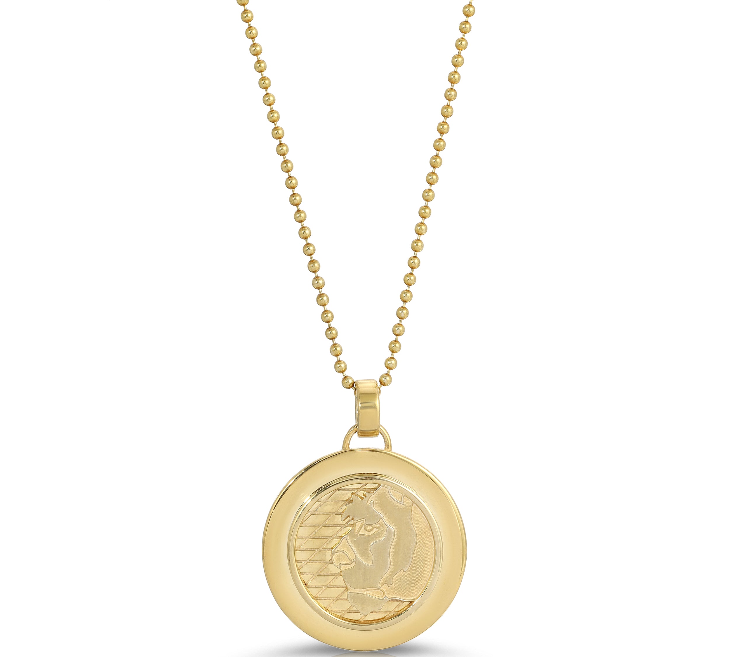 Lioness Coin Necklace, Large Pendant Necklace MAE + LANG 16 inch