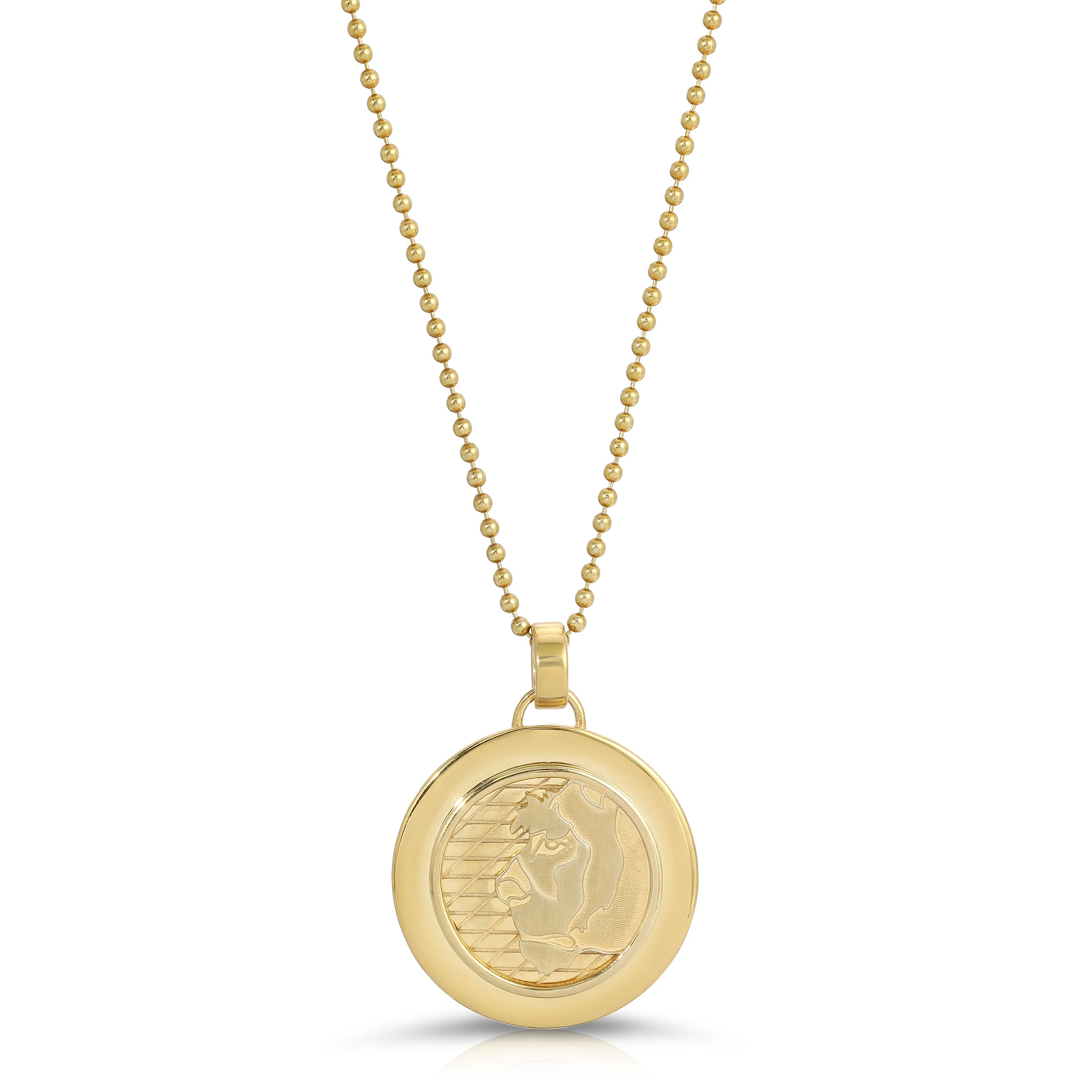 Lioness Coin Necklace, Large Pendant Necklace MAE + LANG 16 inch