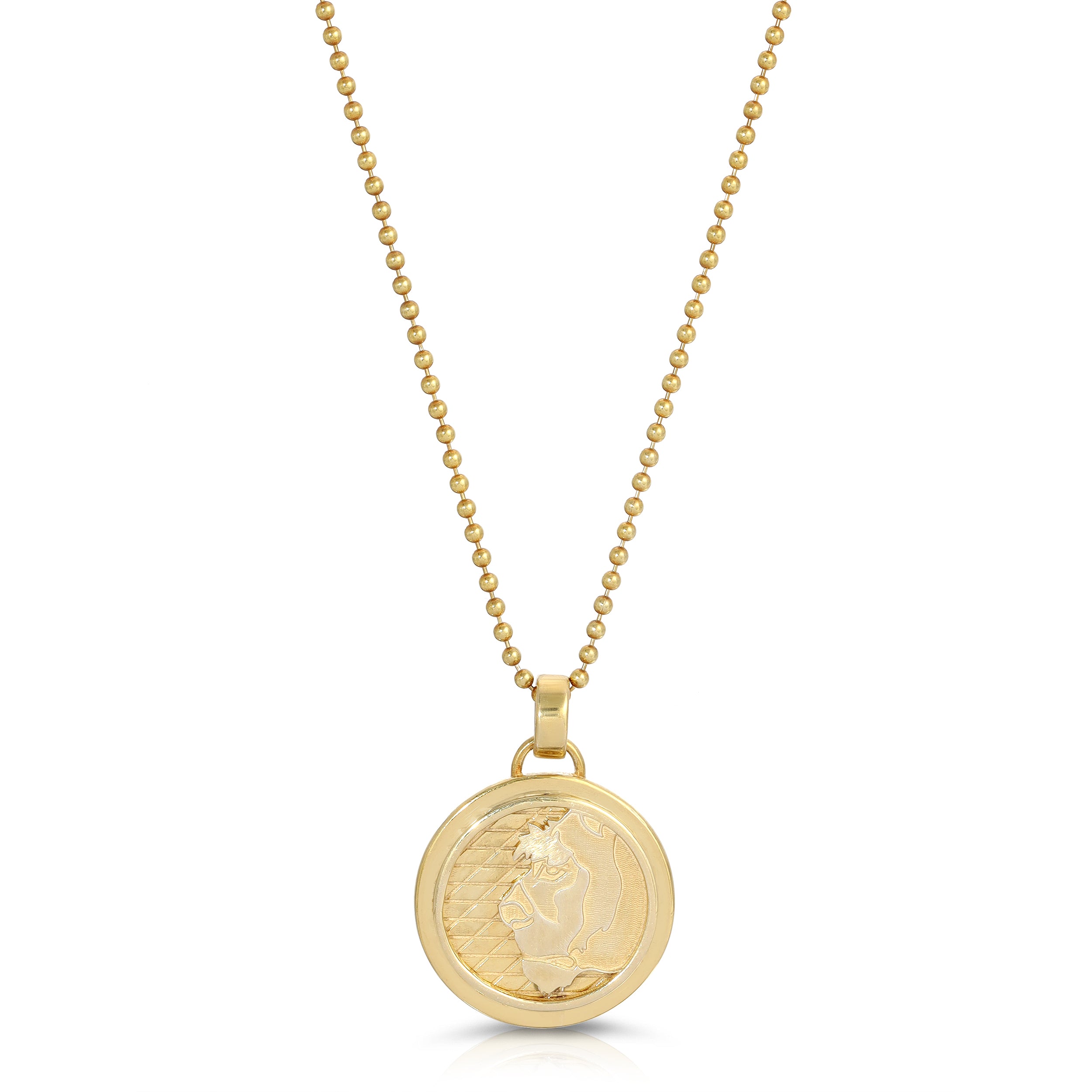 Lioness Coin Necklace, Medium Pendant Necklace MAE + LANG 16 inch