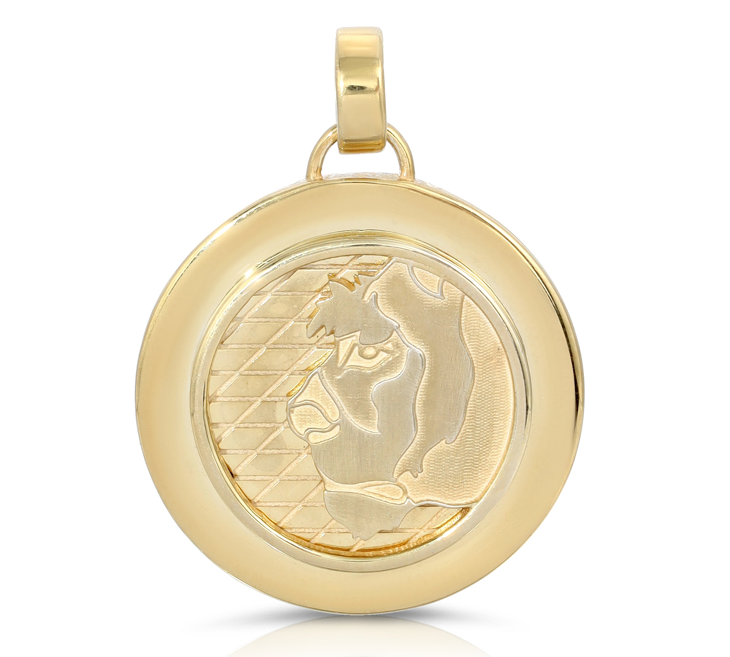 Lioness Coin Necklace, Large Pendant Necklace MAE + LANG