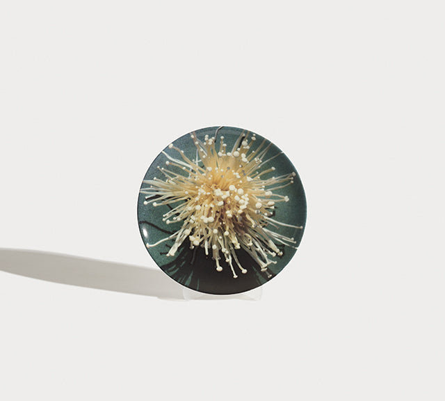 Oki-Enoki Dessert Plate Platter Shayna Fontana