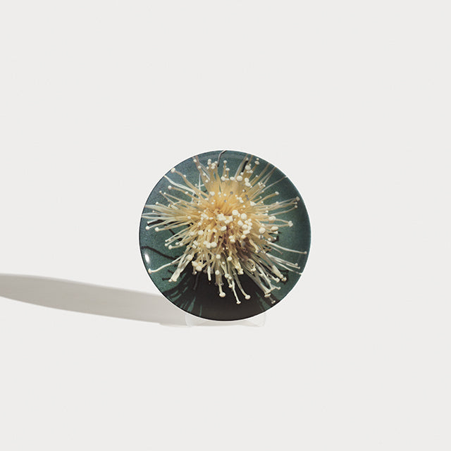 Oki-Enoki Dessert Plate Platter Shayna Fontana