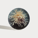 Oki-Enoki Dinner Plate Platter Shayna Fontana