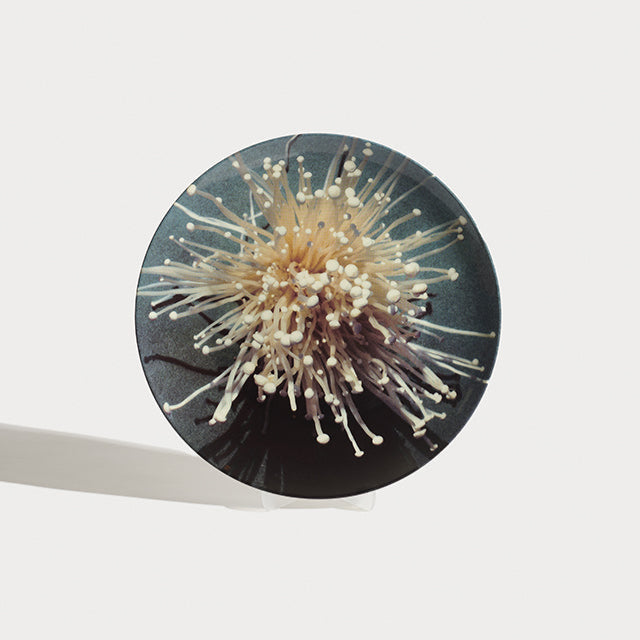 Oki-Enoki Dinner Plate Platter Shayna Fontana