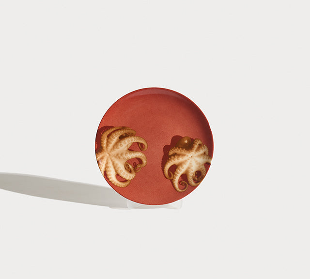 Polypous Dessert Plate Platter Shayna Fontana