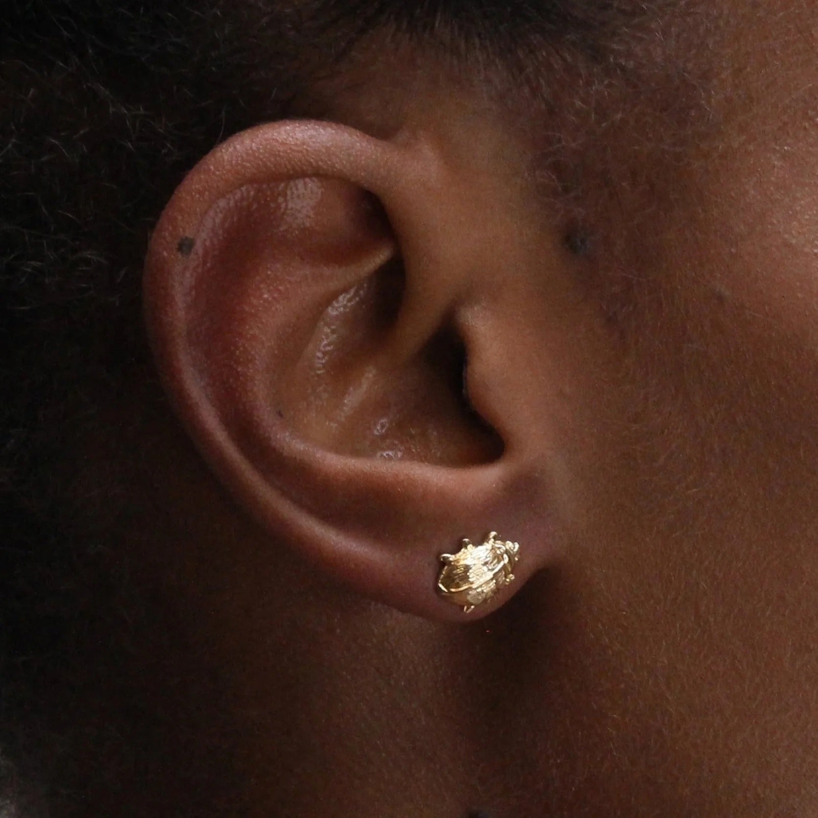 Lady Luck Stud Stud Earrings Roseark Deux