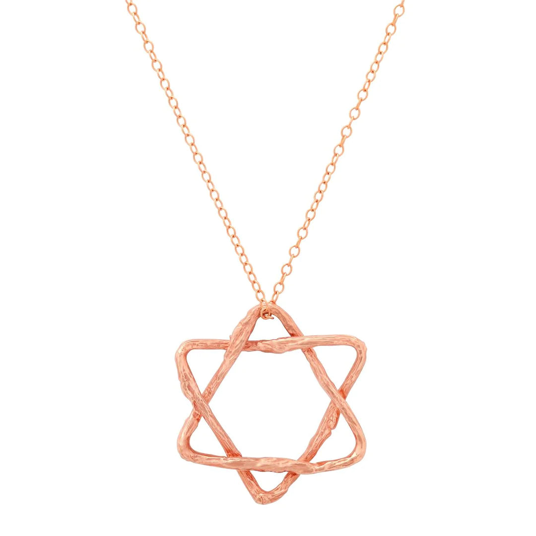 Star of David Necklace Pendant Necklace Elisabeth Bell Jewelry Large Rose Gold Plain
