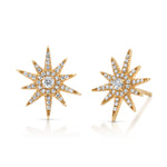 Shining Star Diamond Stud Stud Earrings Roseark Deux Pair  