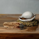 Shell and Seedpod, 12 x 9 inch  Rafael Perez   