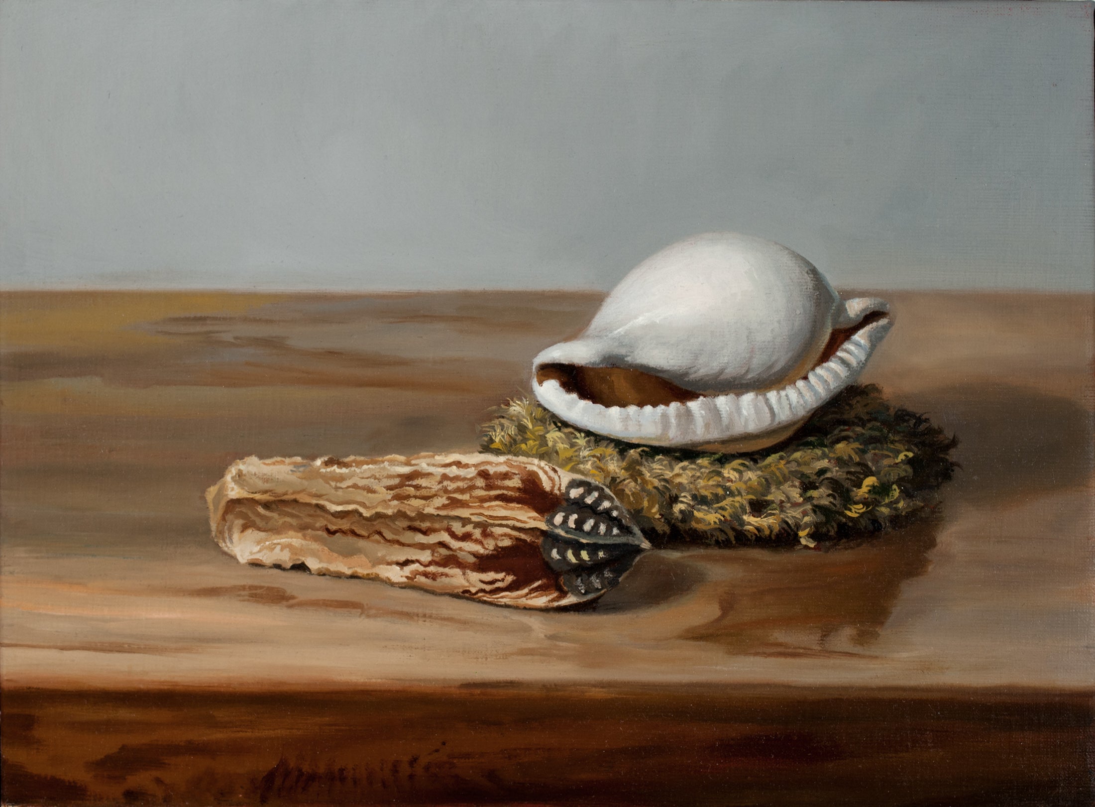 Shell and Seedpod, 12 x 9 inch  Rafael Perez   