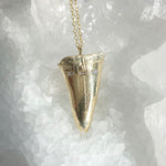 Large Mako Tooth Necklace Pendant Necklace Elisabeth Bell Jewelry